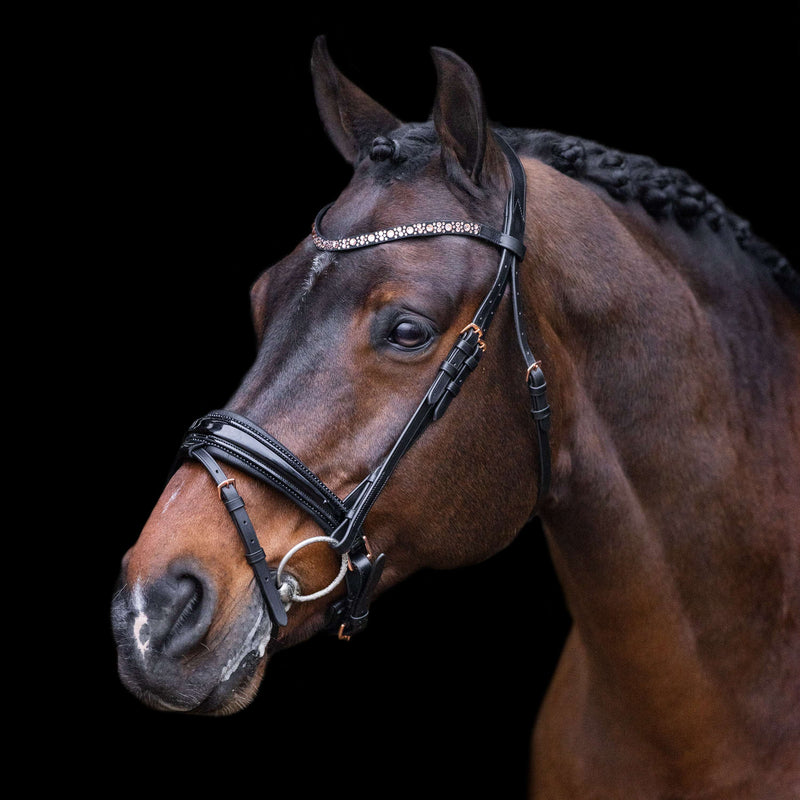 Imperial Riding Bridle IRHOlympia Black/Rosegold