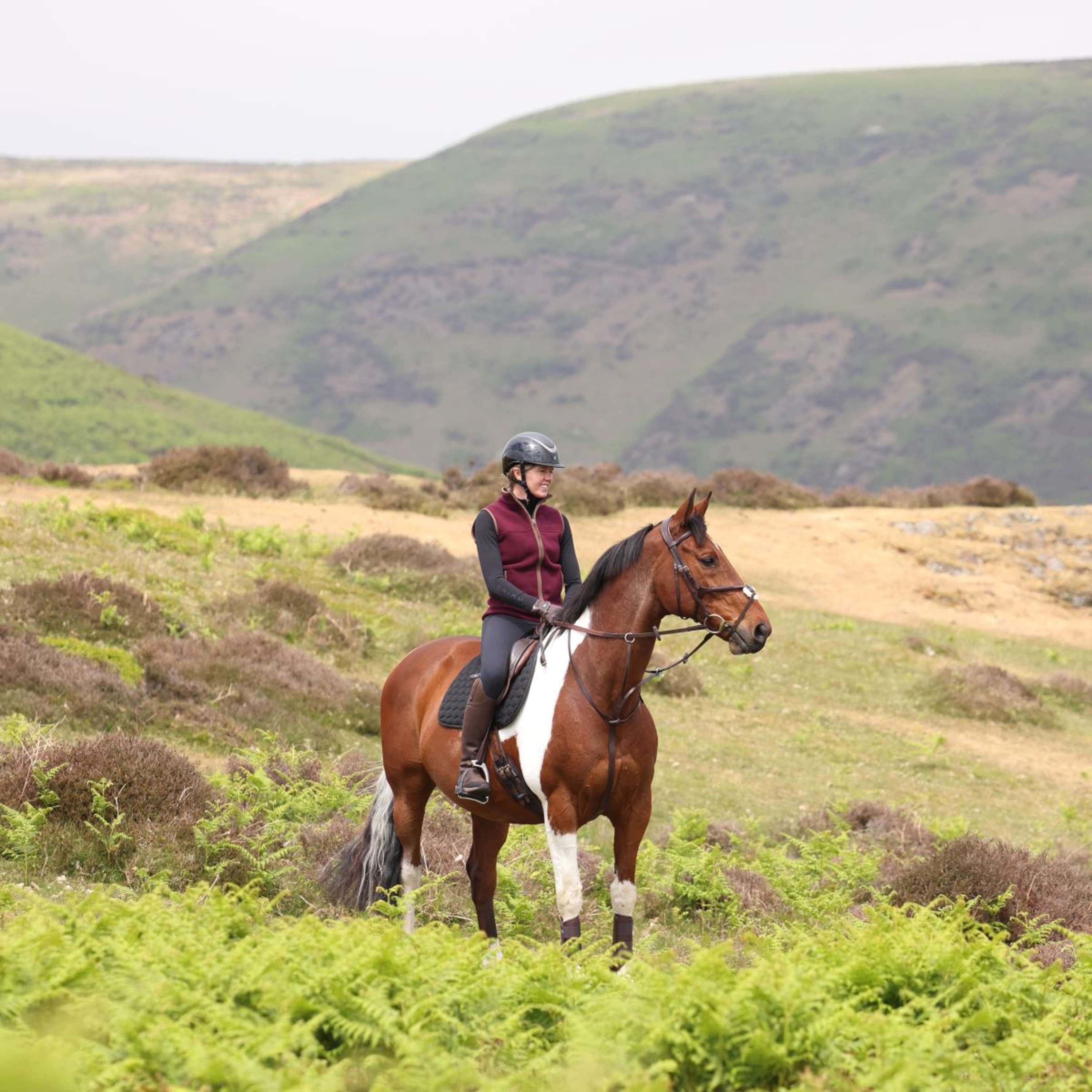 Aubrion by Shires Bodywarmer Original Fleece Maroon