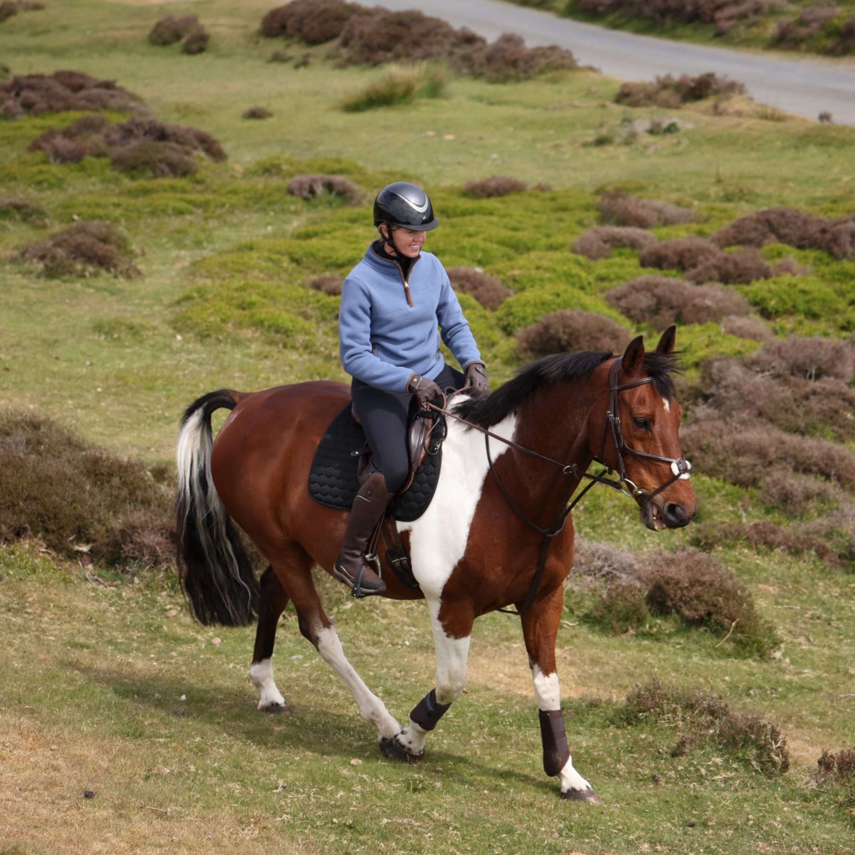 Aubrion by Shires Sweater Original Fleece Blue