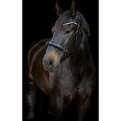 Catago Throat Lash Gentle with Buckles Black