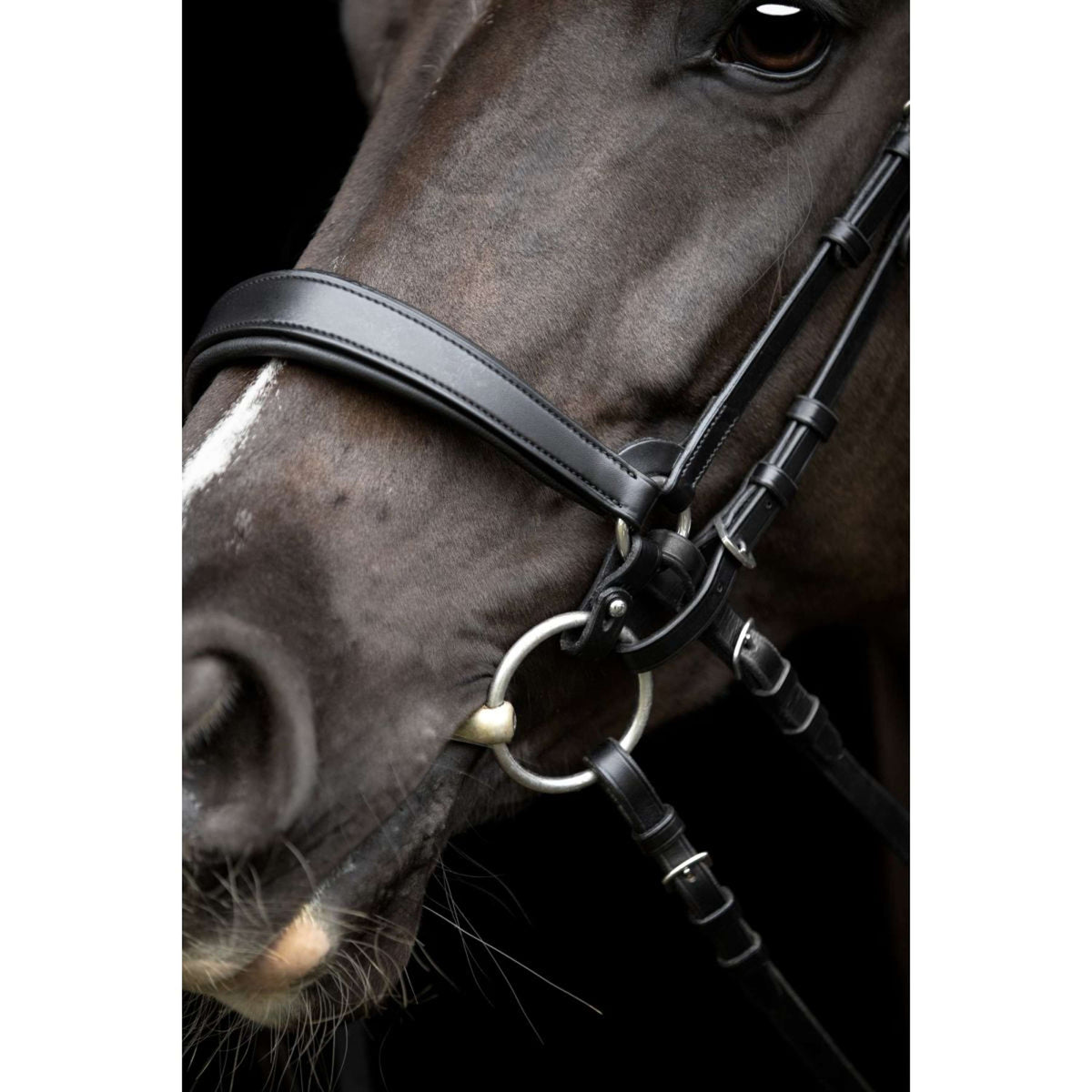 Catago Nose Band Gentle Black