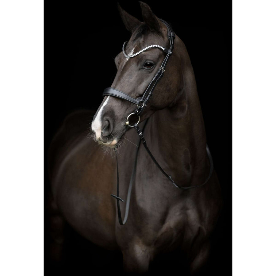 Catago Nose Band Gentle Black