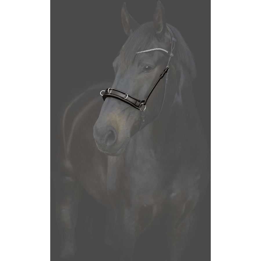 Catago Nose Band Cavesson Gentle Black