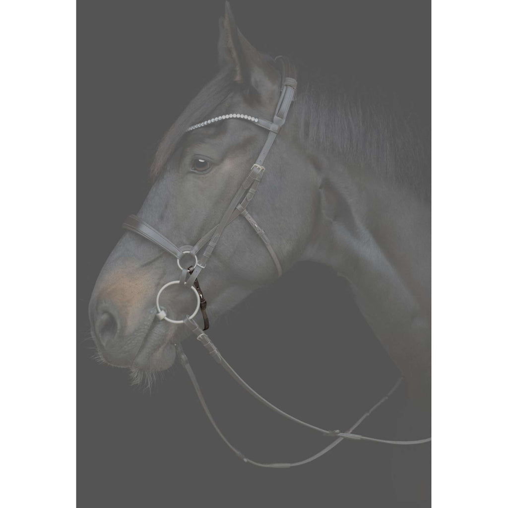 Catago Chin Strap Gentle Brown