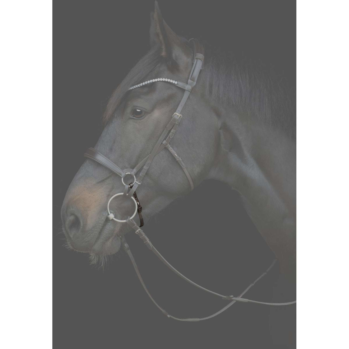 Catago Chin Strap Gentle Black