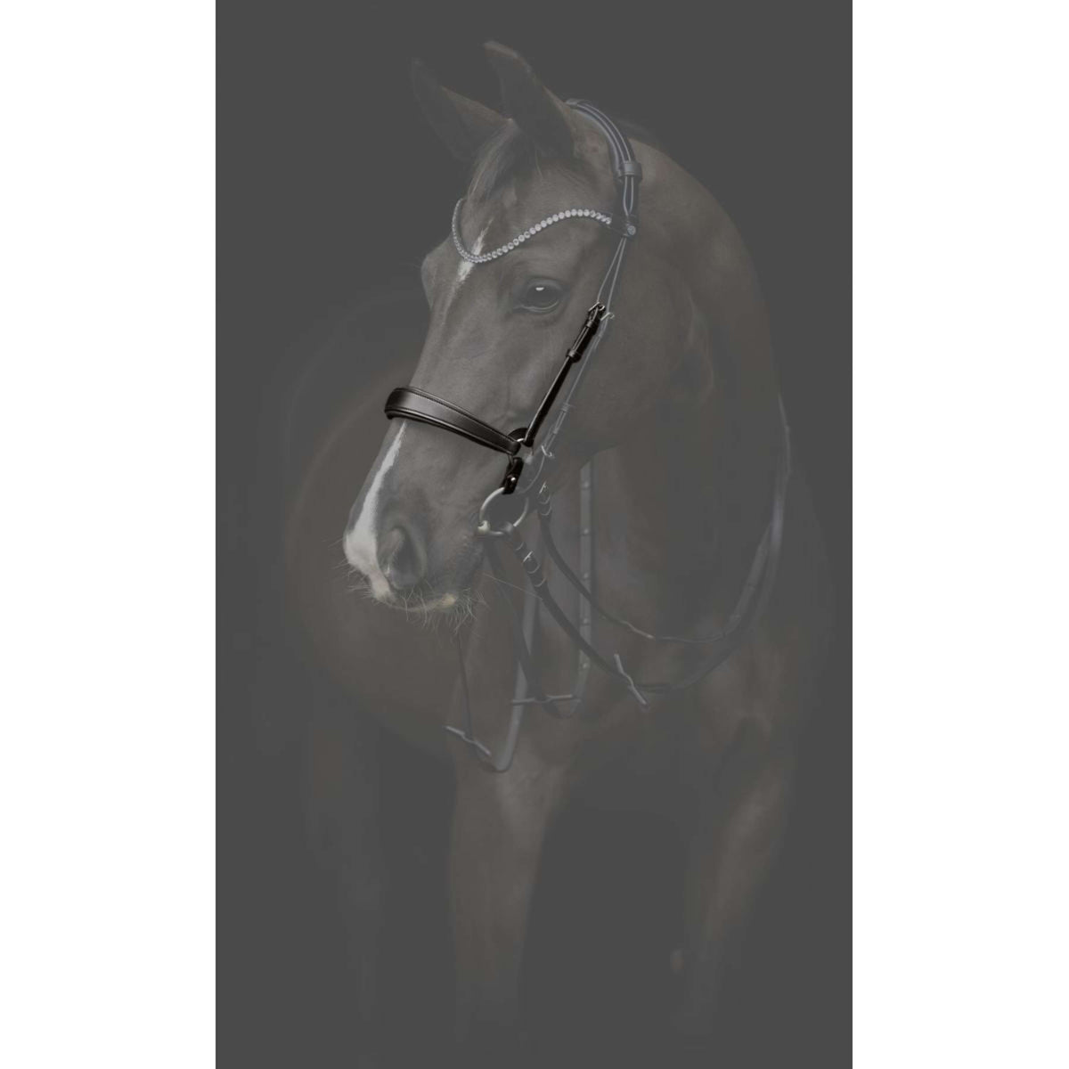 Catago Nose Band Gentle Black