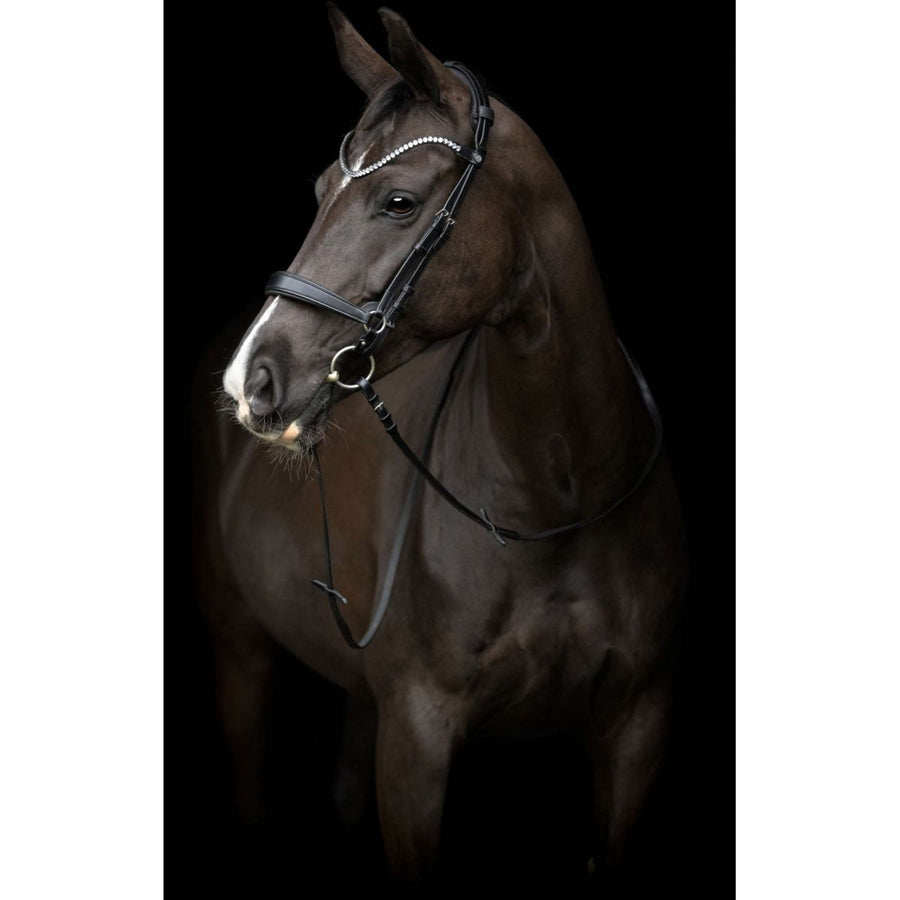 Catago Nose Band Gentle Black