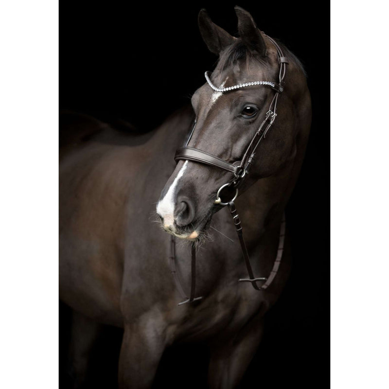 Catago Browband Gentle Brown