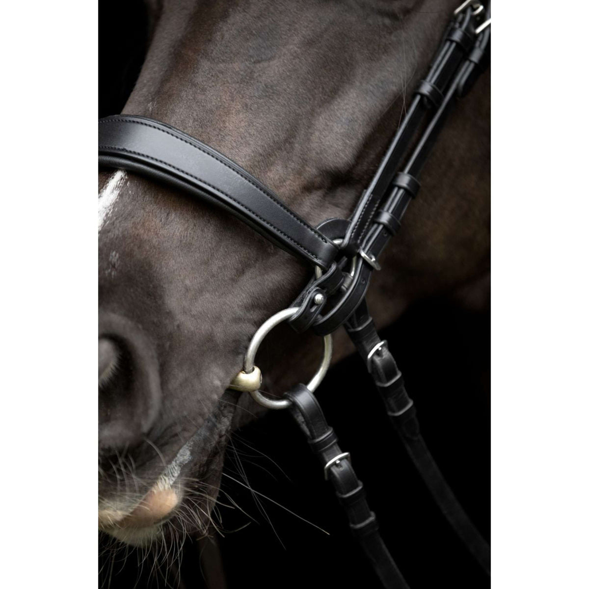 Catago Nose Band Gentle Black