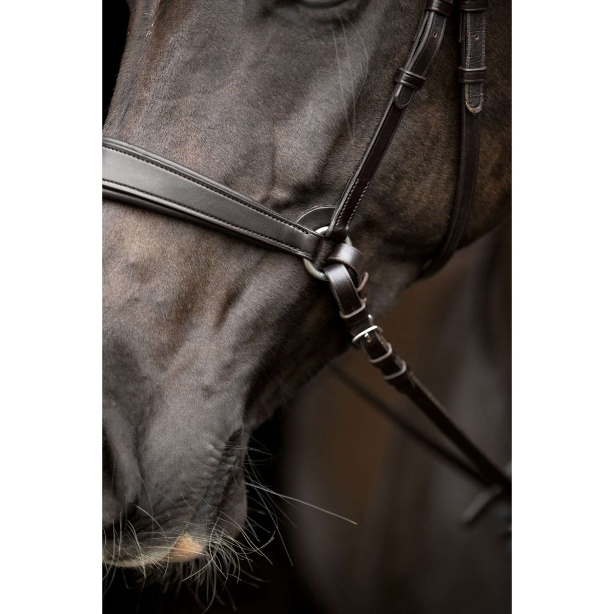 Catago Nose Band Gentle Brown