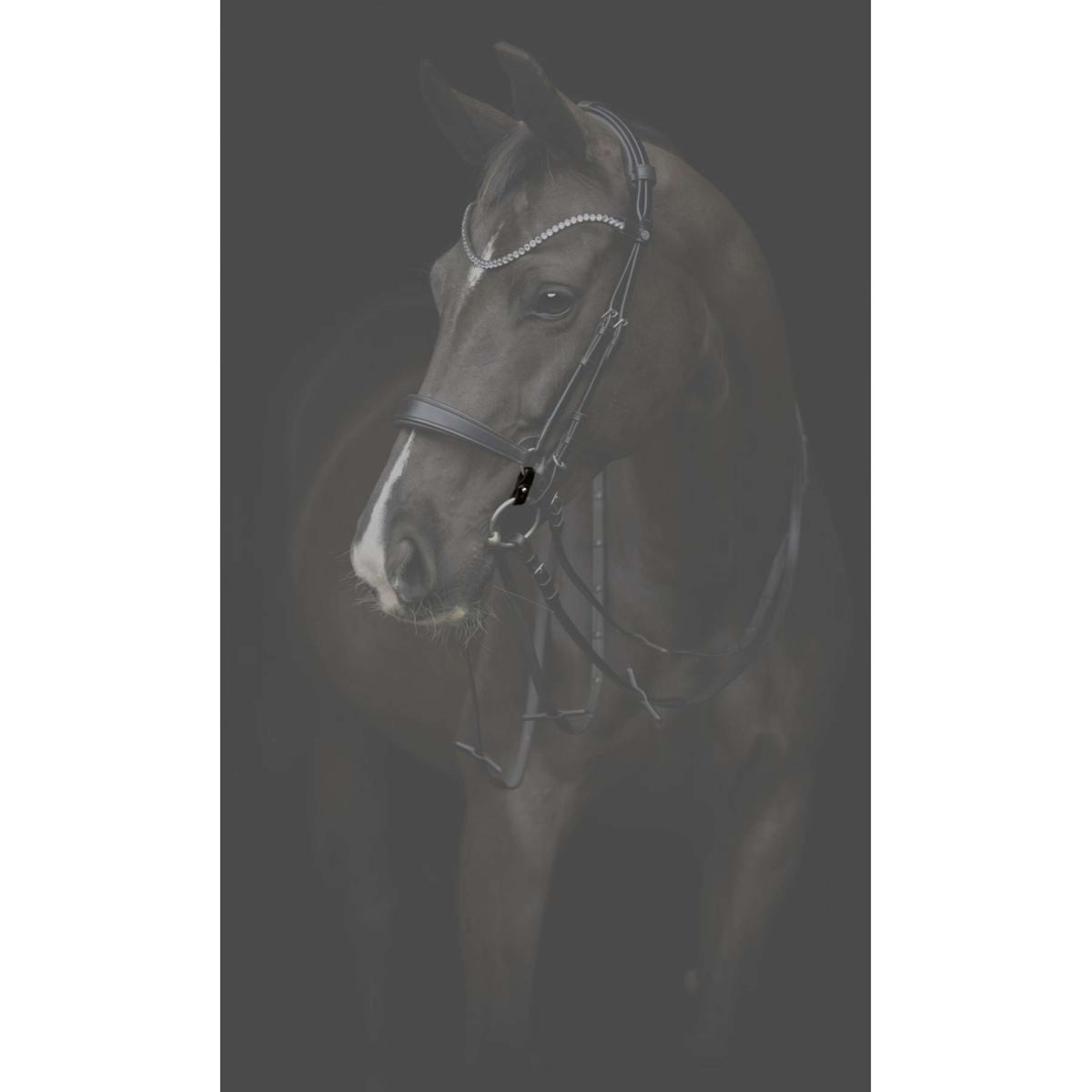 Catago Connecting Rings Gentle Brown