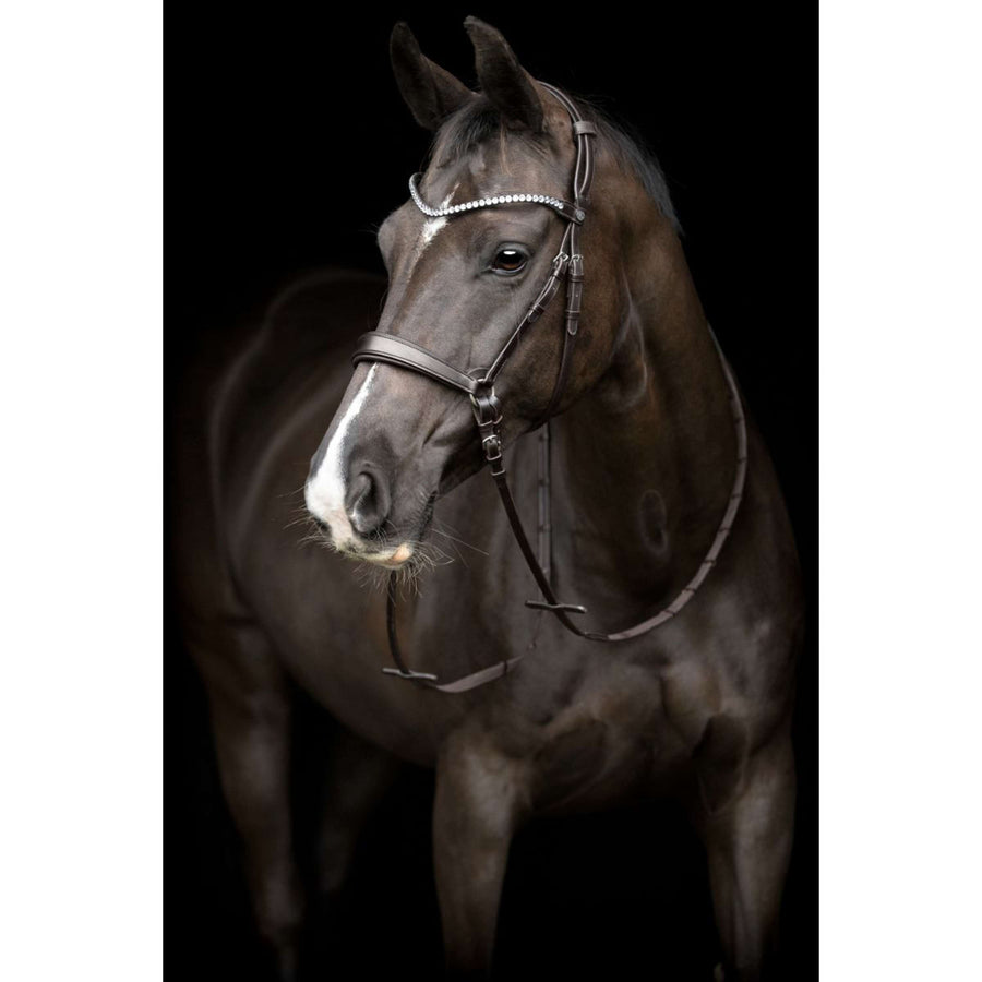 Catago Throat Lash Gentle with Buckles Brown