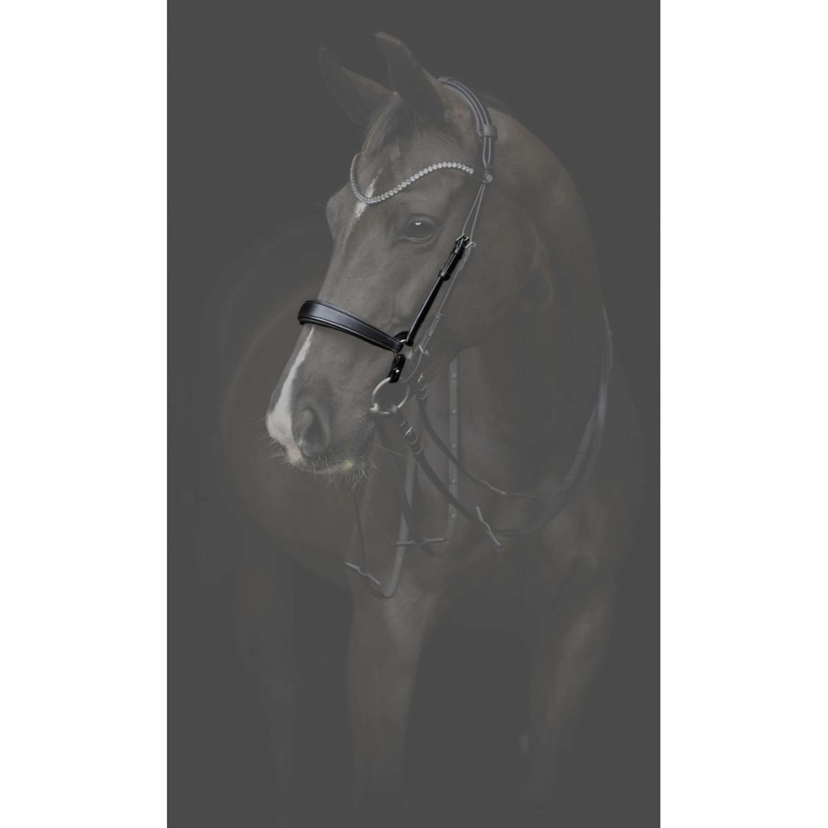 Catago Nose Band Gentle Brown