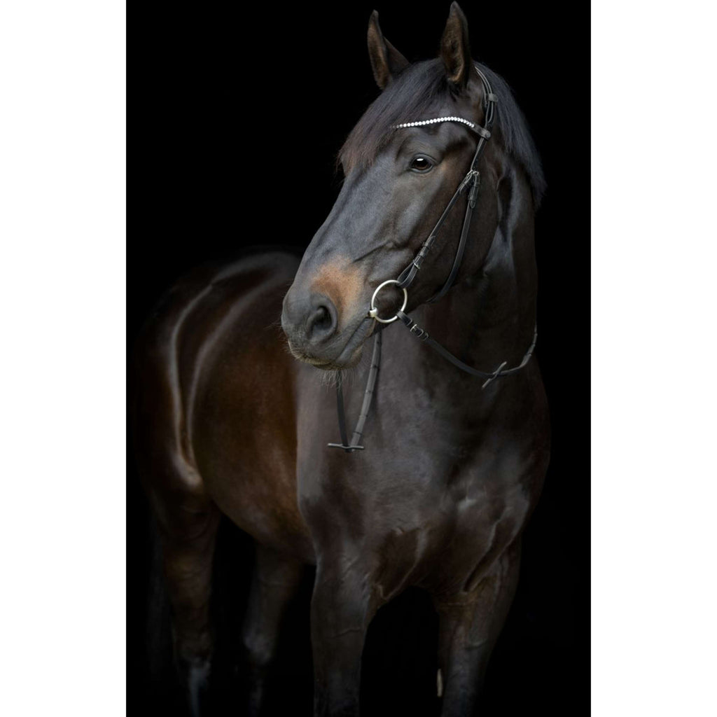 Catago Browband Gentle Black