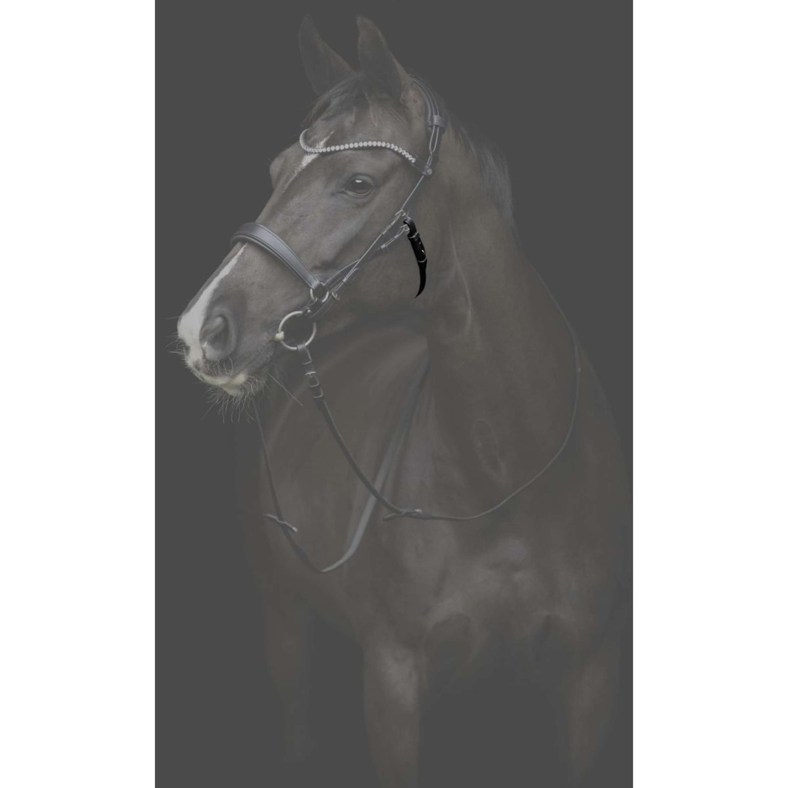 Catago Throat Lash Gentle Black