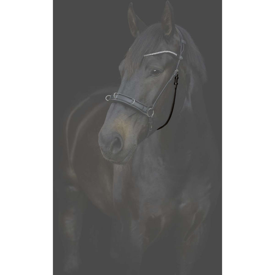 Catago Throat Lash Gentle with Buckles Brown