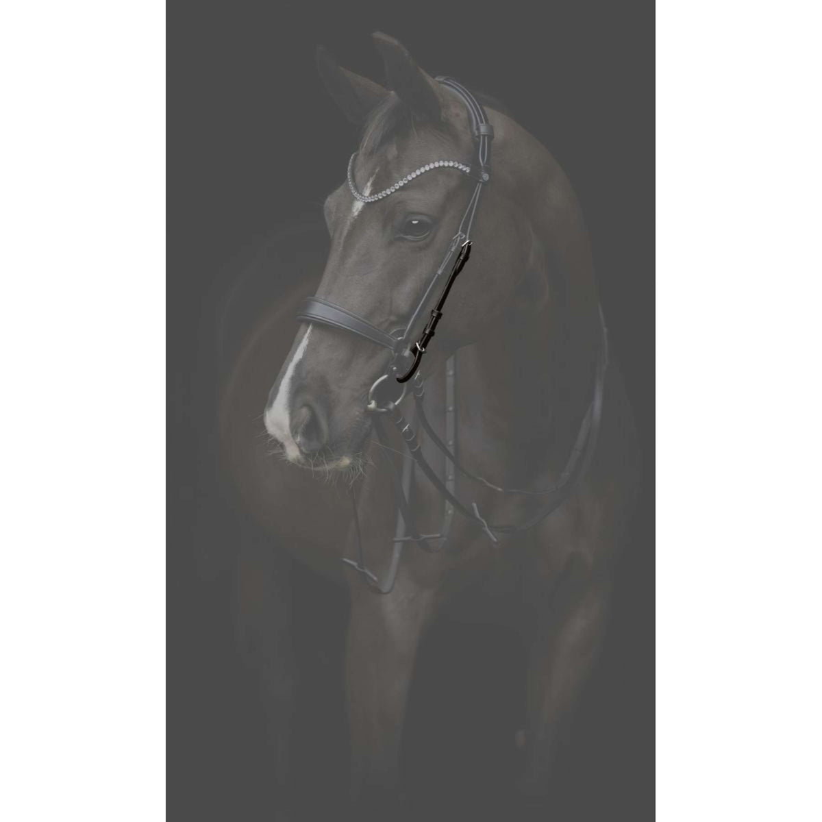 Catago Cheek Pieces Gentle Black