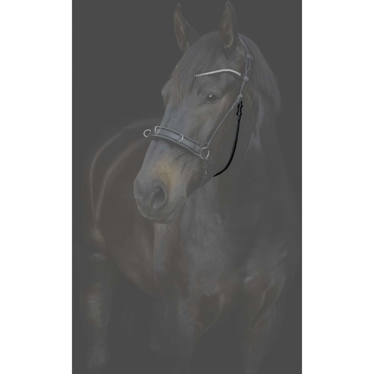 Catago Throat Lash Gentle with Buckles Black