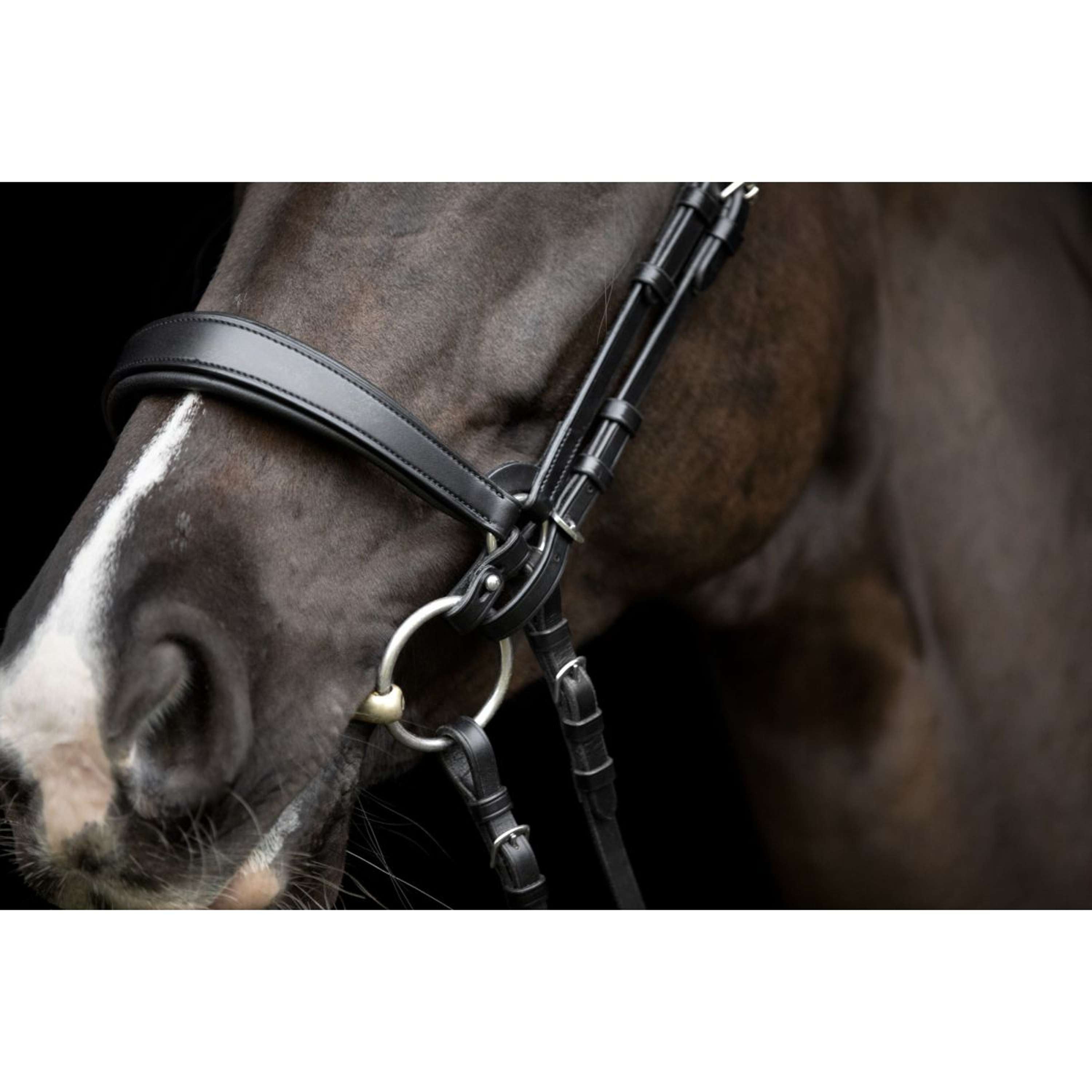 Catago Connecting Rings Gentle Black