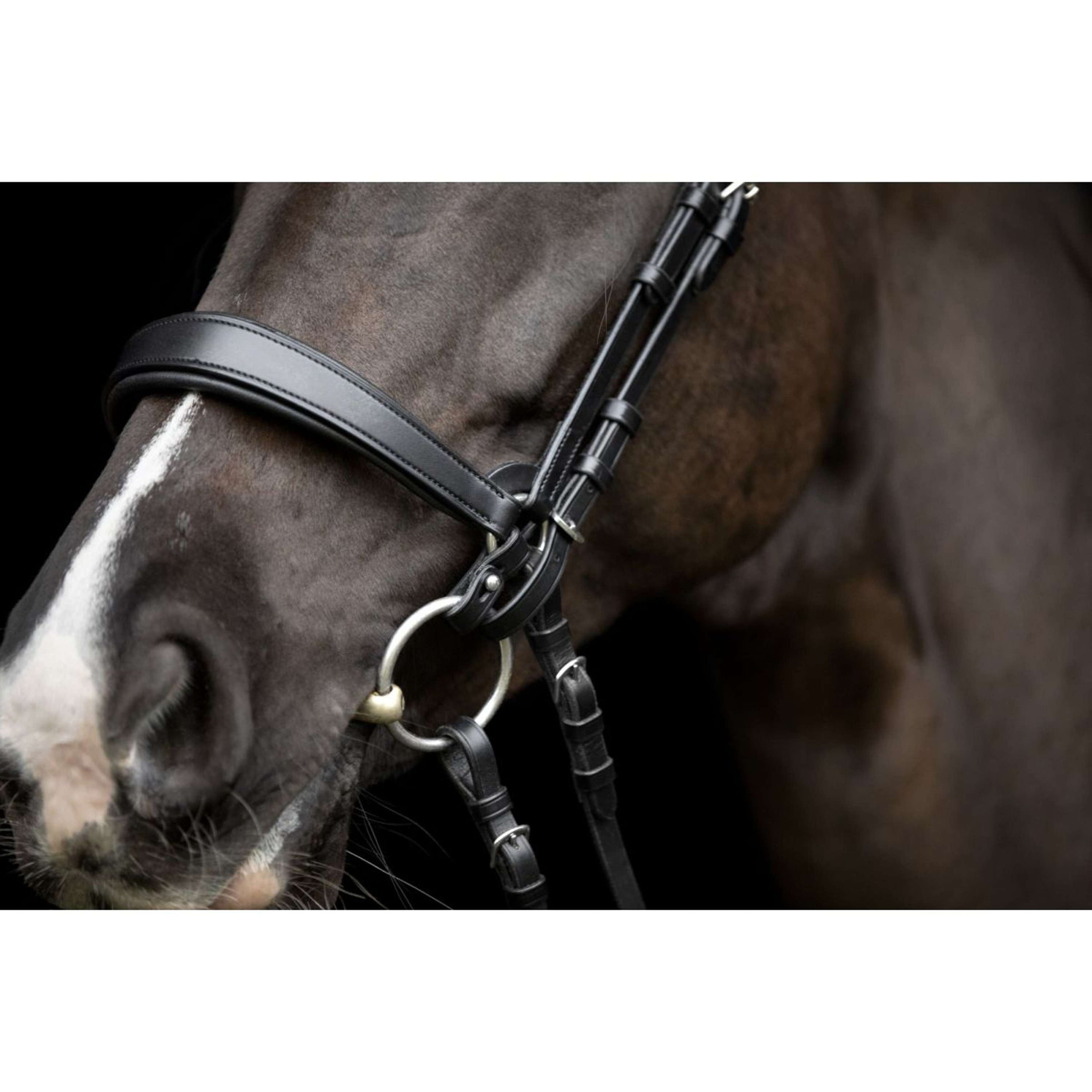 Catago Connecting Rings Gentle Black