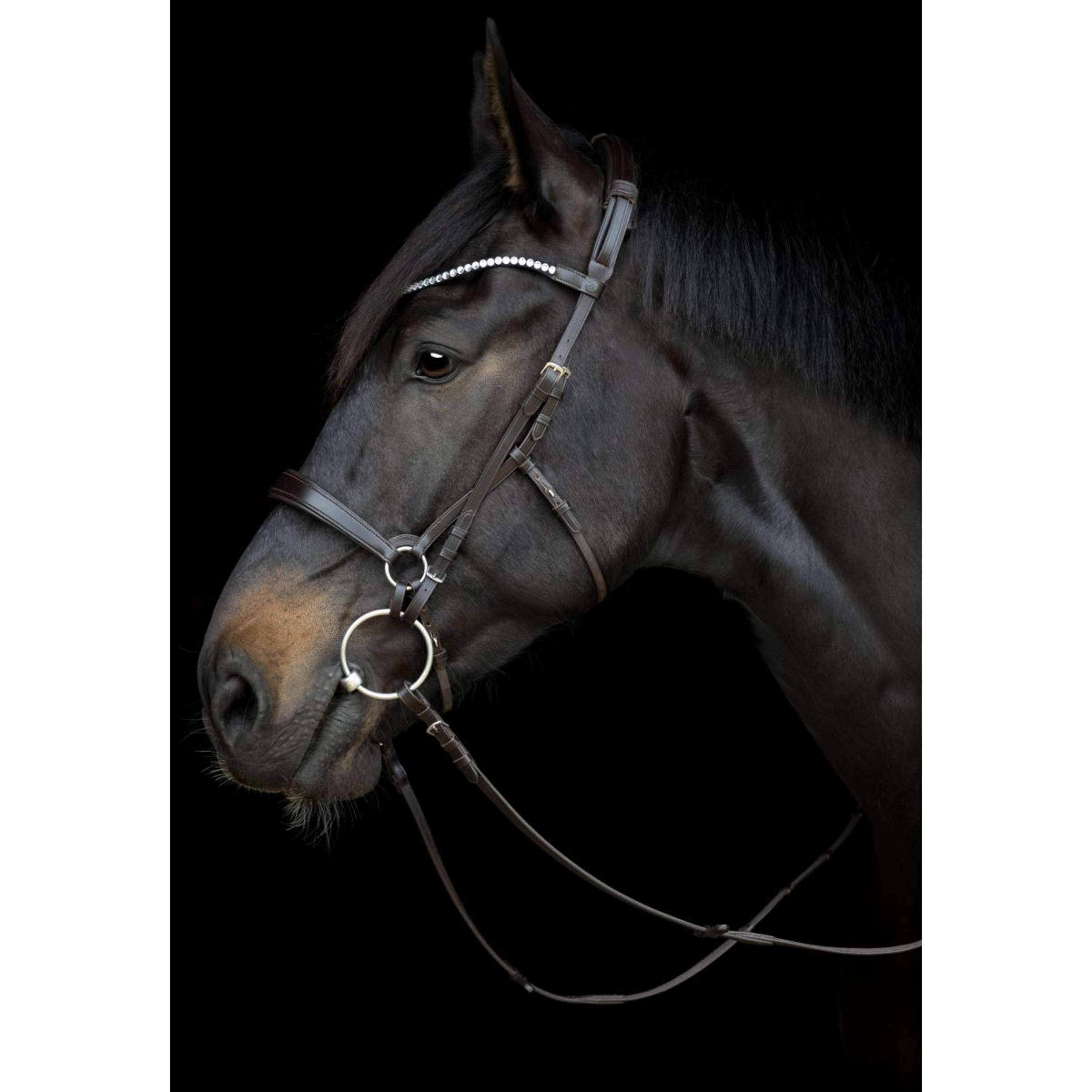 Catago Connecting Rings Gentle Black