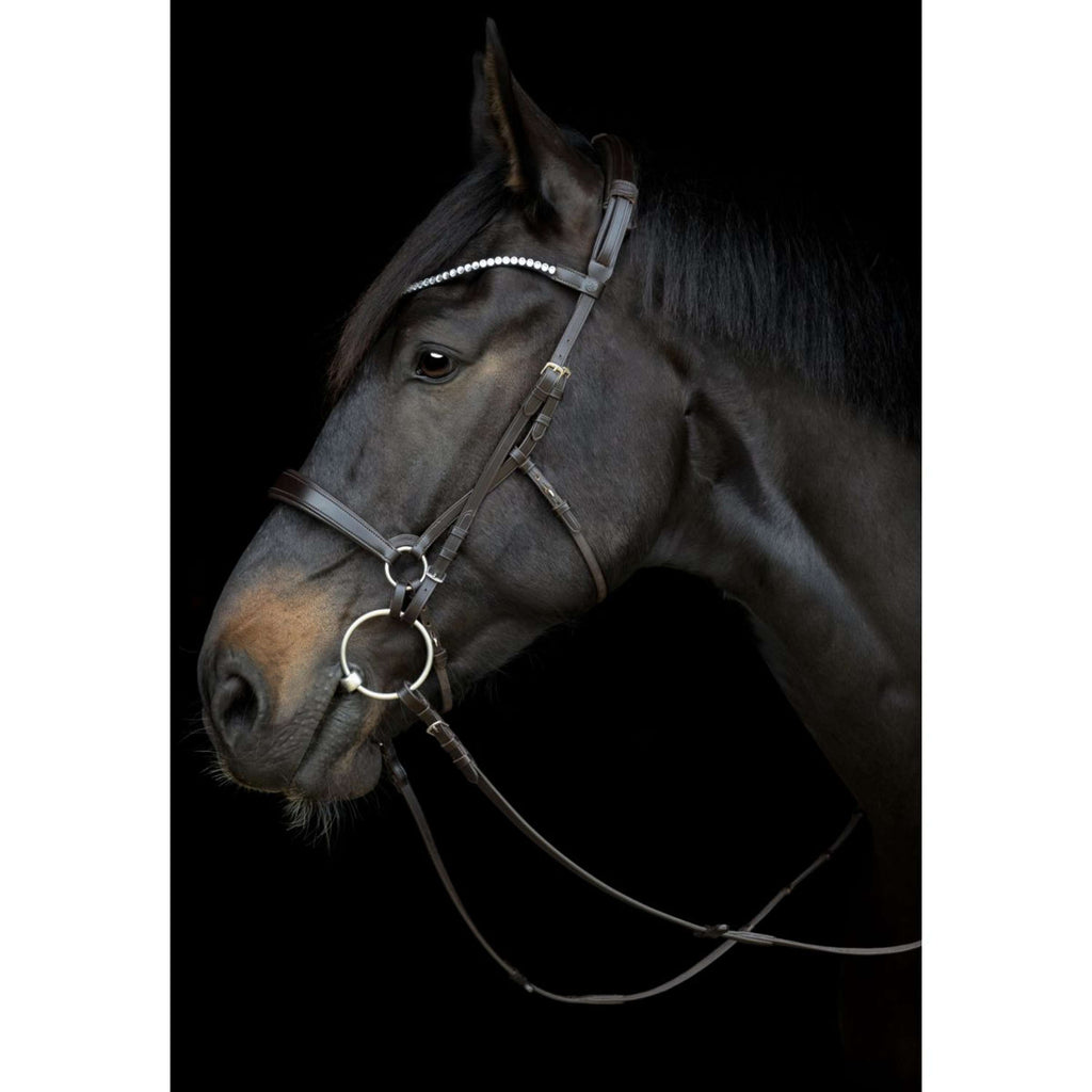 Catago Connecting Rings Gentle Black