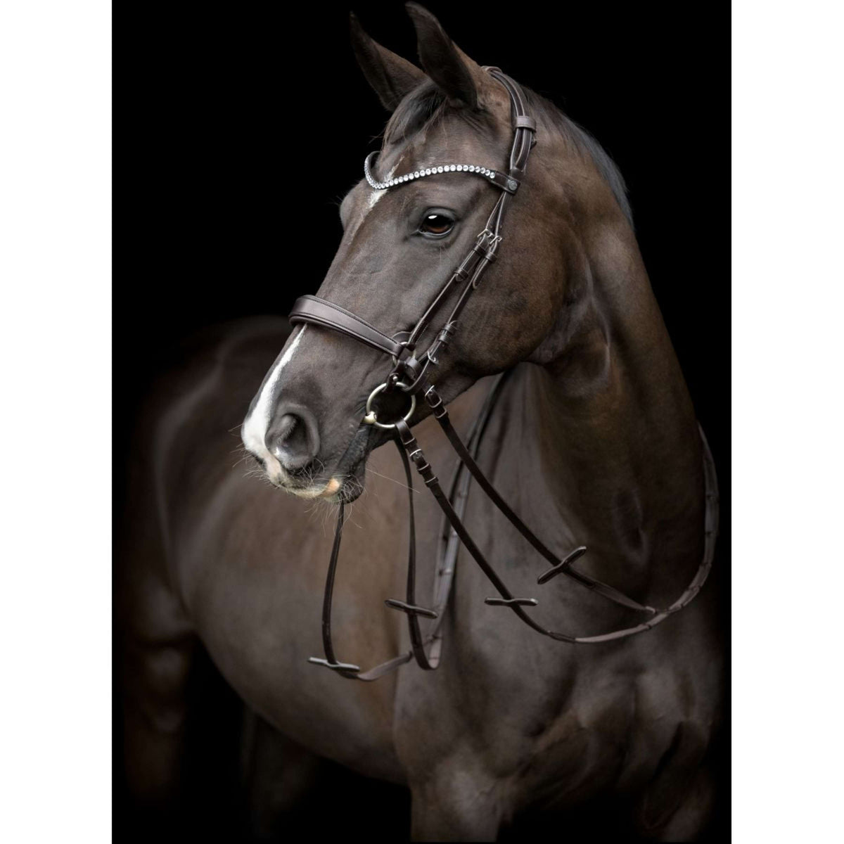 Catago Head Piece Gentle Brown