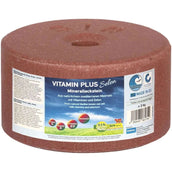 Animalixs Lick Stone Vitamin Plus Selen