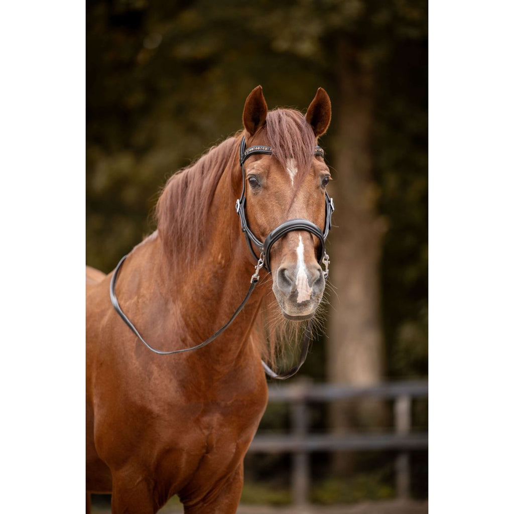 F.R.A. Bitless Bridle Moonlight Black