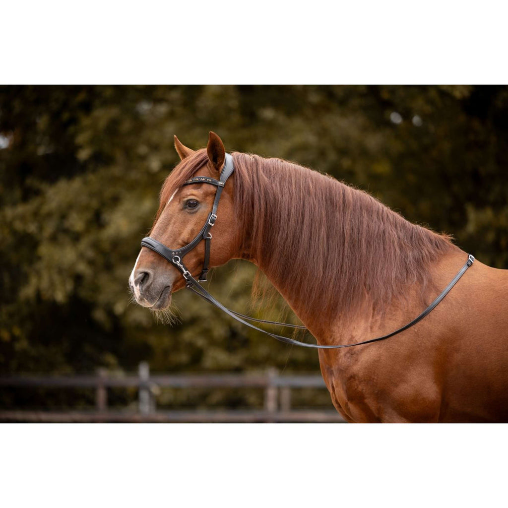 F.R.A. Bitless Bridle Moonlight Black