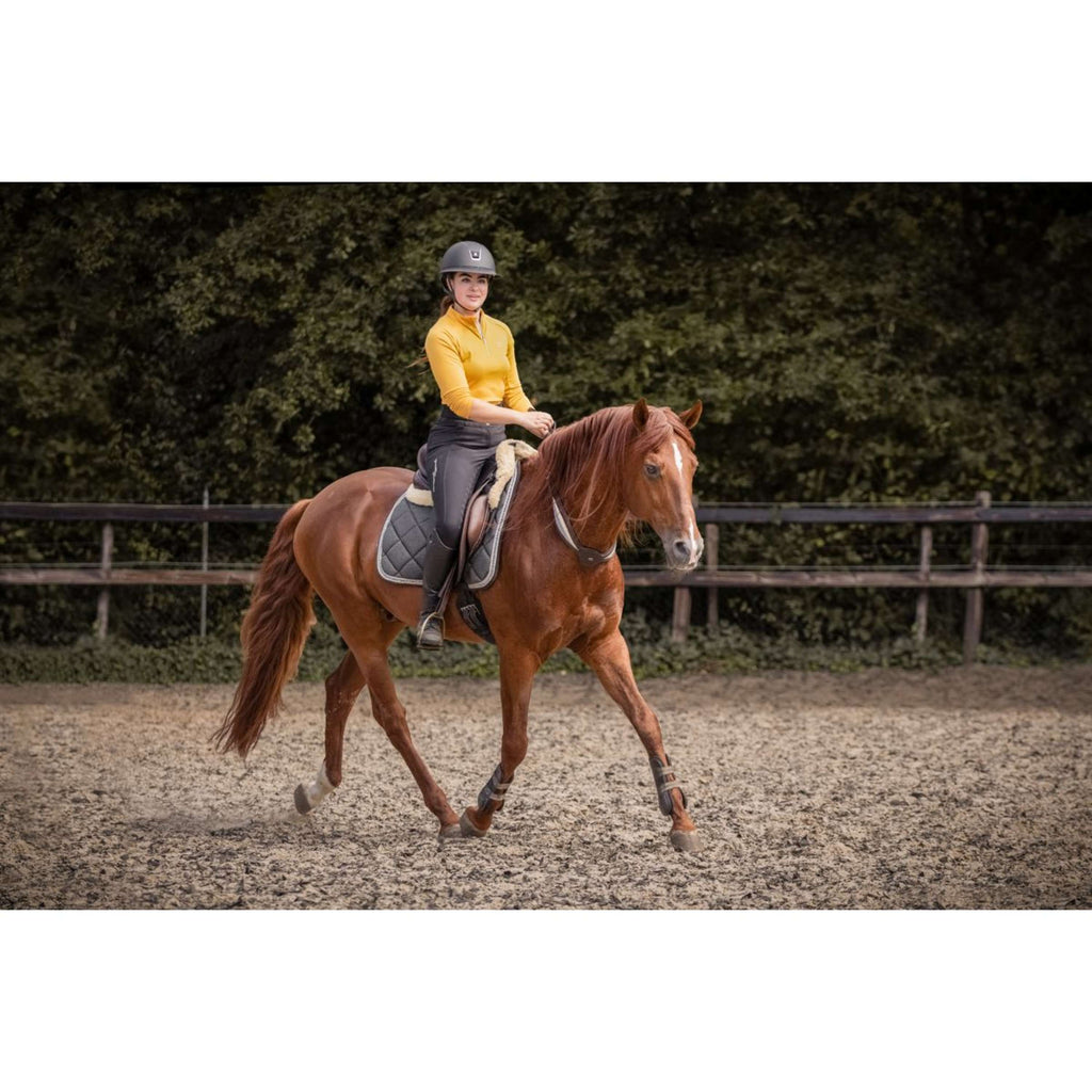 F.R.A. Balance rein Whisper Brown