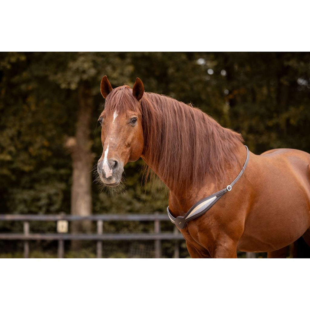 F.R.A. Balance rein Whisper Brown