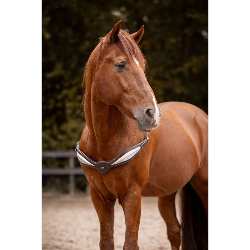 F.R.A. Balance rein Whisper Brown