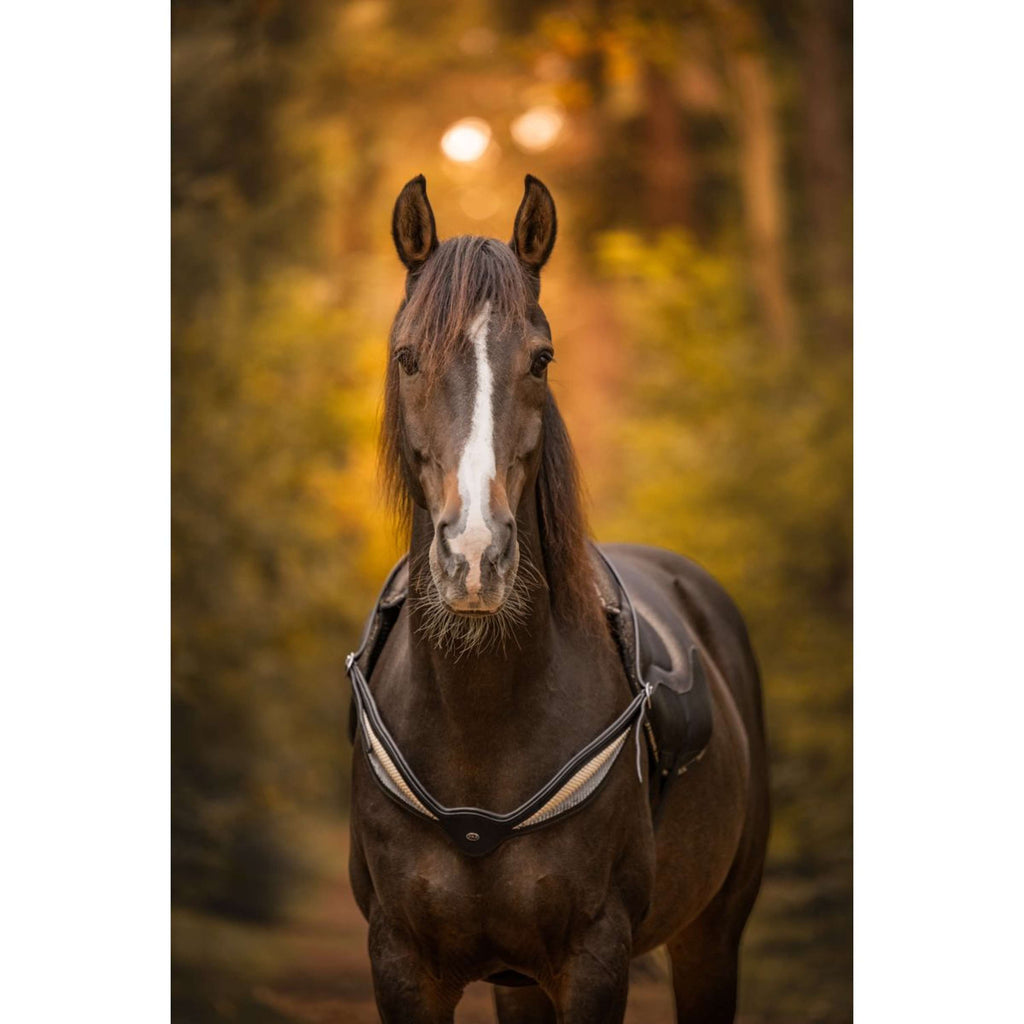 F.R.A. Balance rein Whisper Black