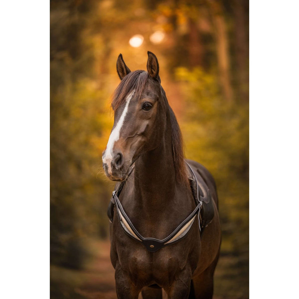 F.R.A. Balance rein Whisper Black