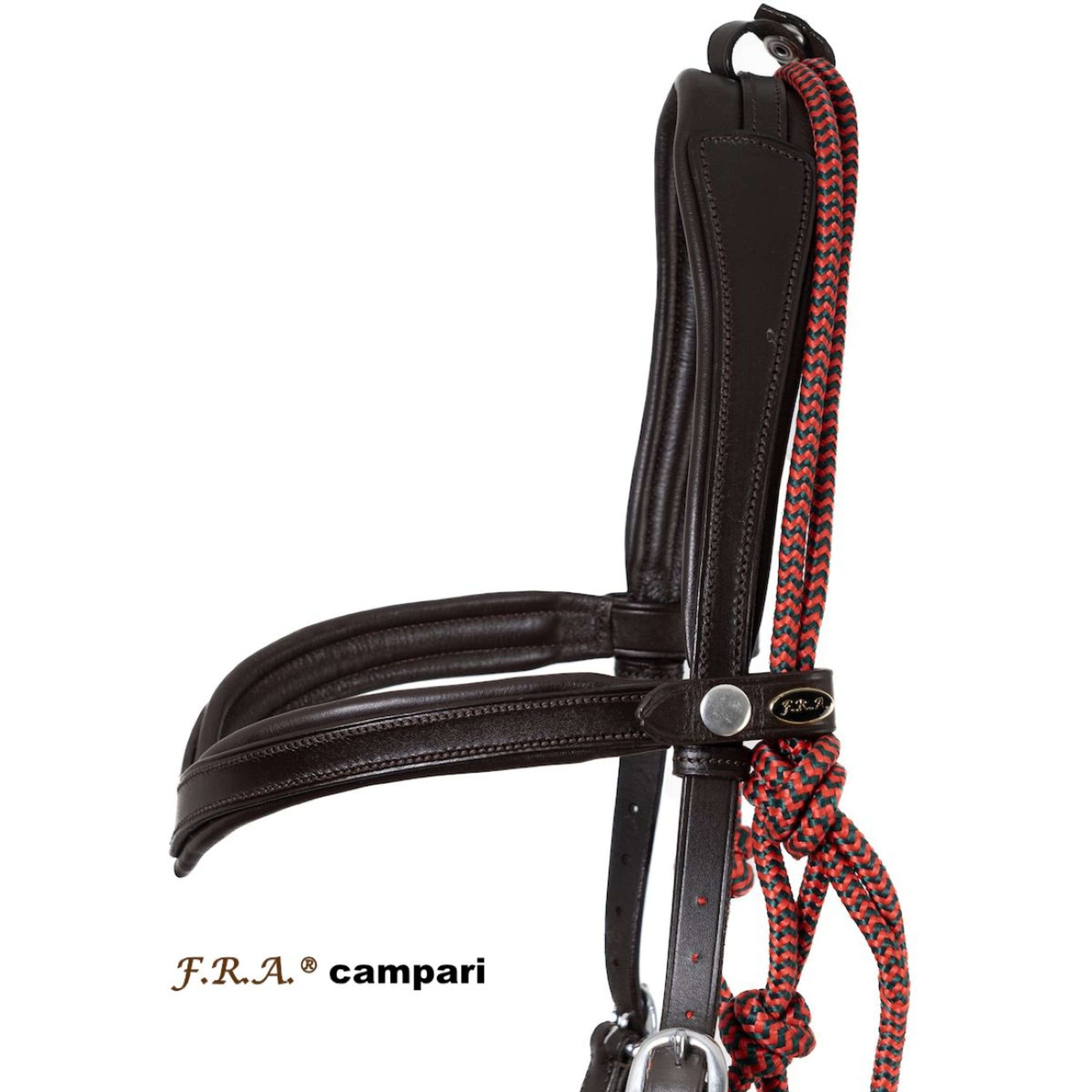 F.R.A. Bridle-Halter Combination Campari Brown