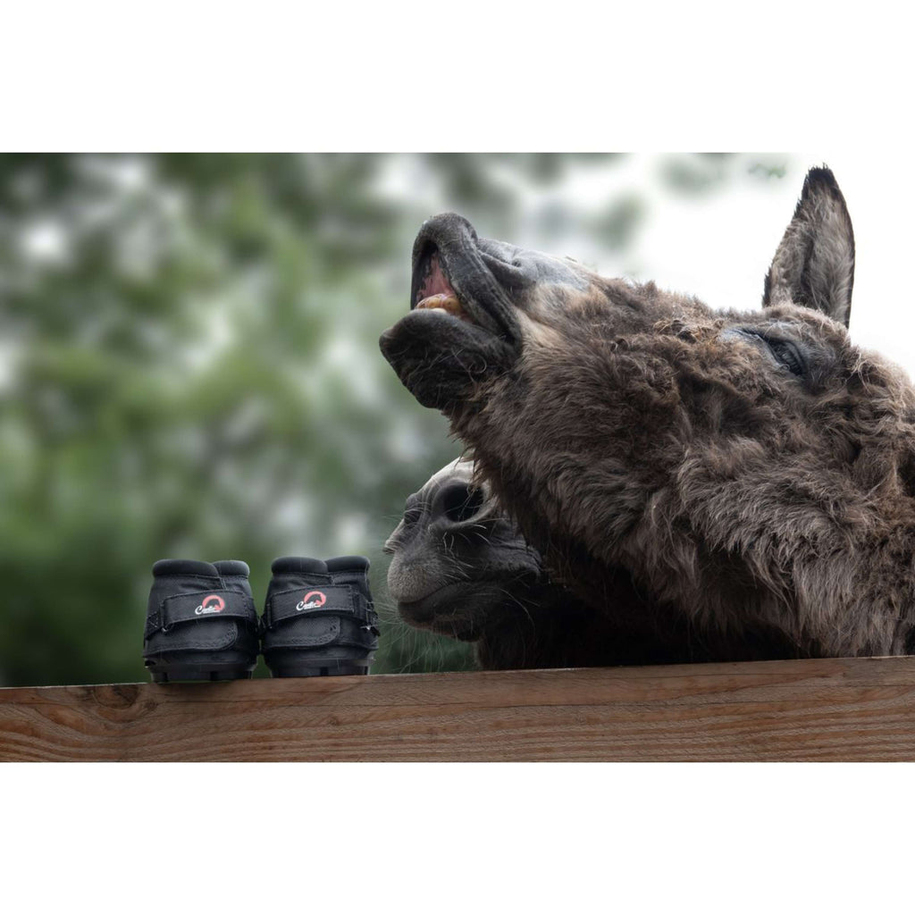 F.R.A. Cavallo Donkey/Long Ear Boot Black