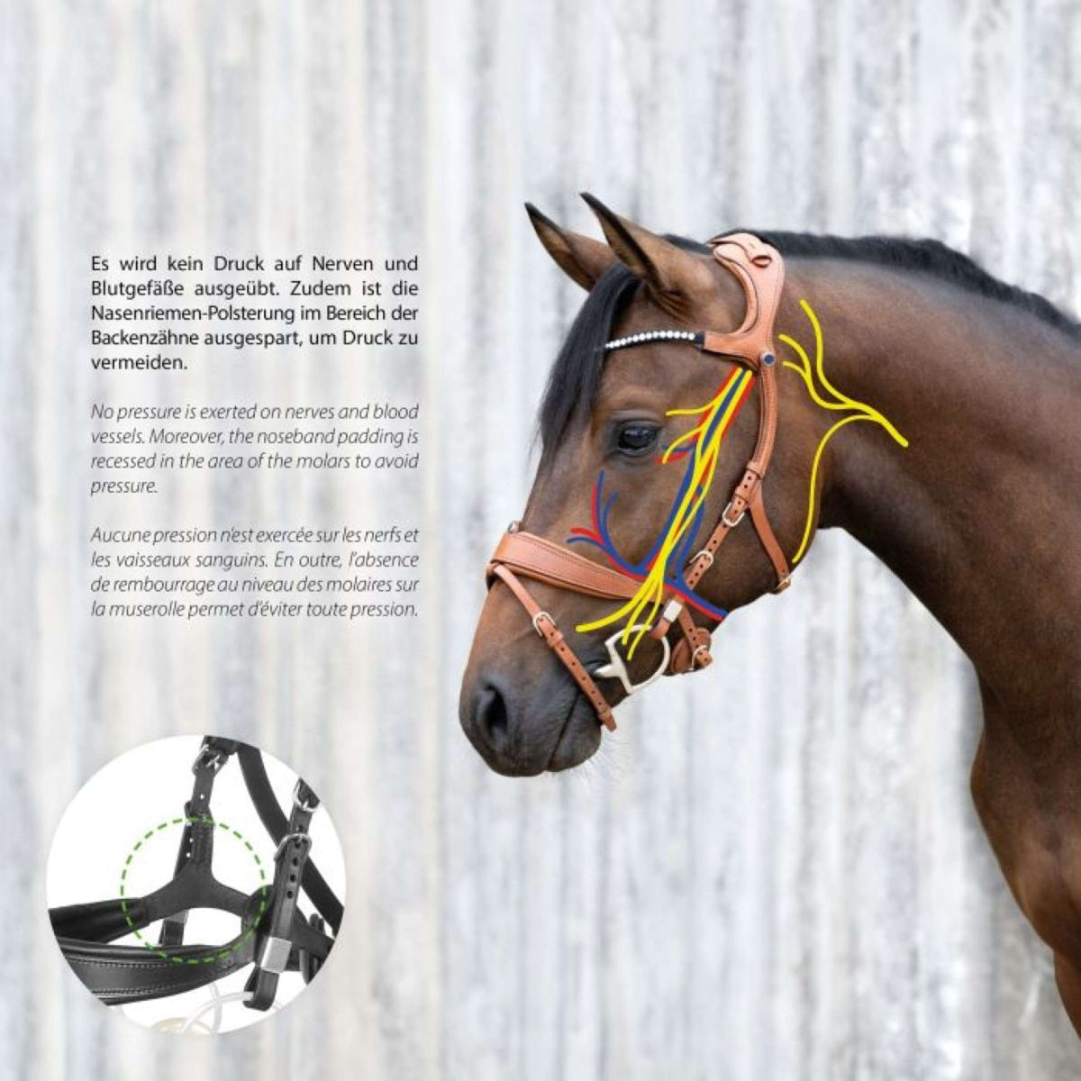 Stübben Bridle Freedom II Magic Tack met Slide&Lock Black/Black