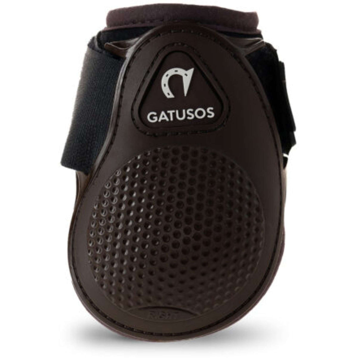 Gatusos Fetlock Young Jump Brown