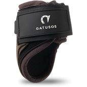 Gatusos Fetlock Young Jump Brown