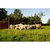Euro-Netz Sheep Fencing Net Extra