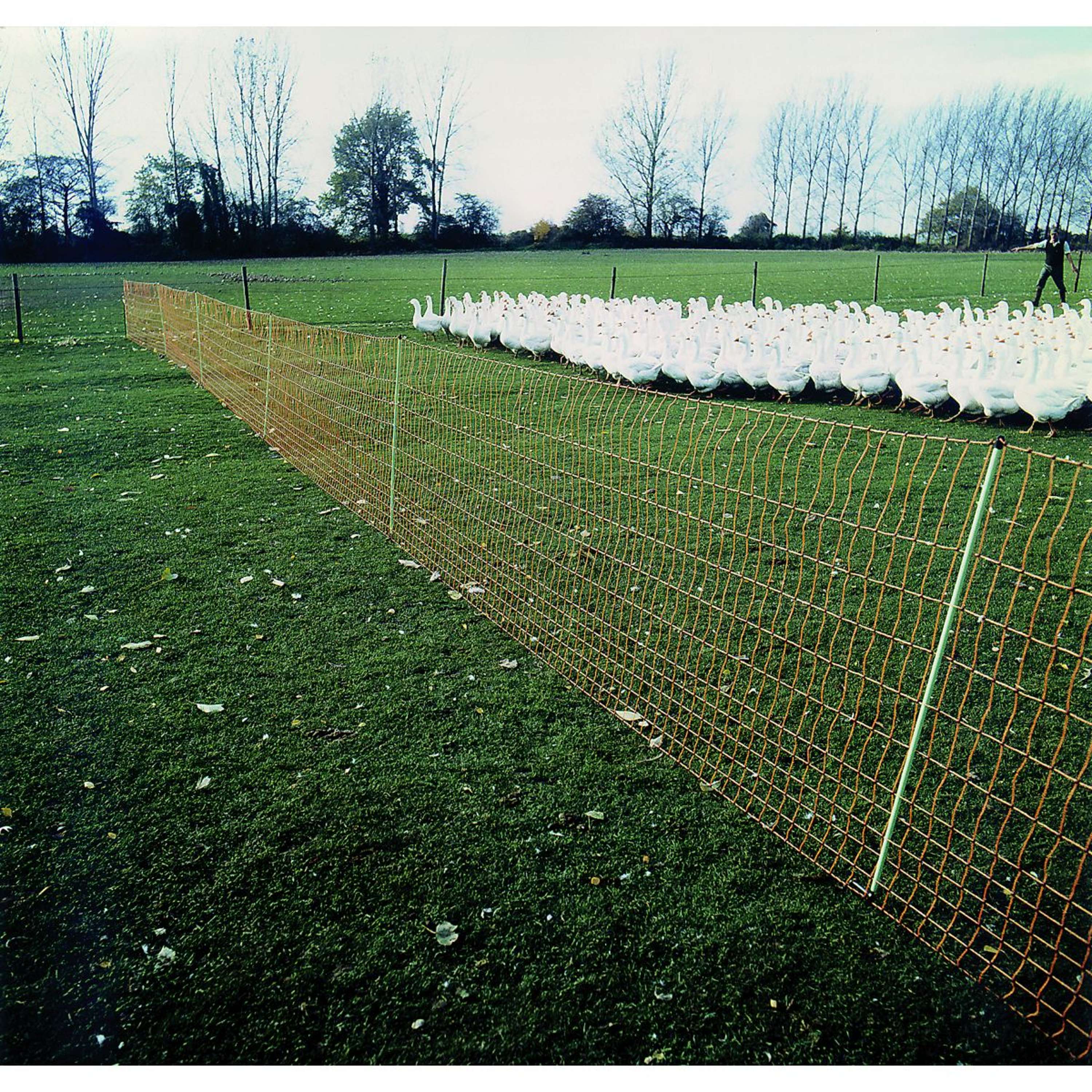 Euro-Netz Poultry Net Yellow