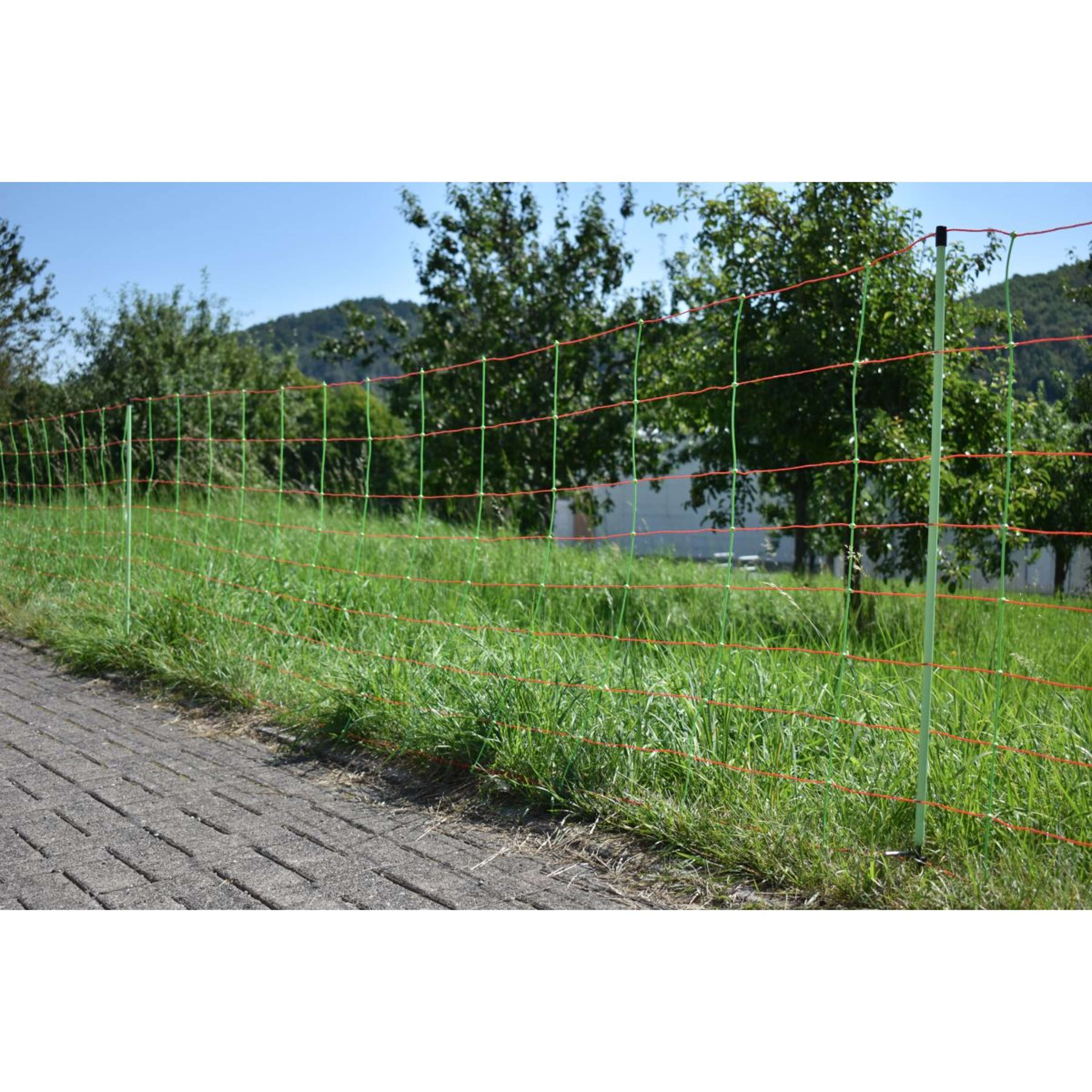 Euro-Netz Sheep Fencing Net Kombi