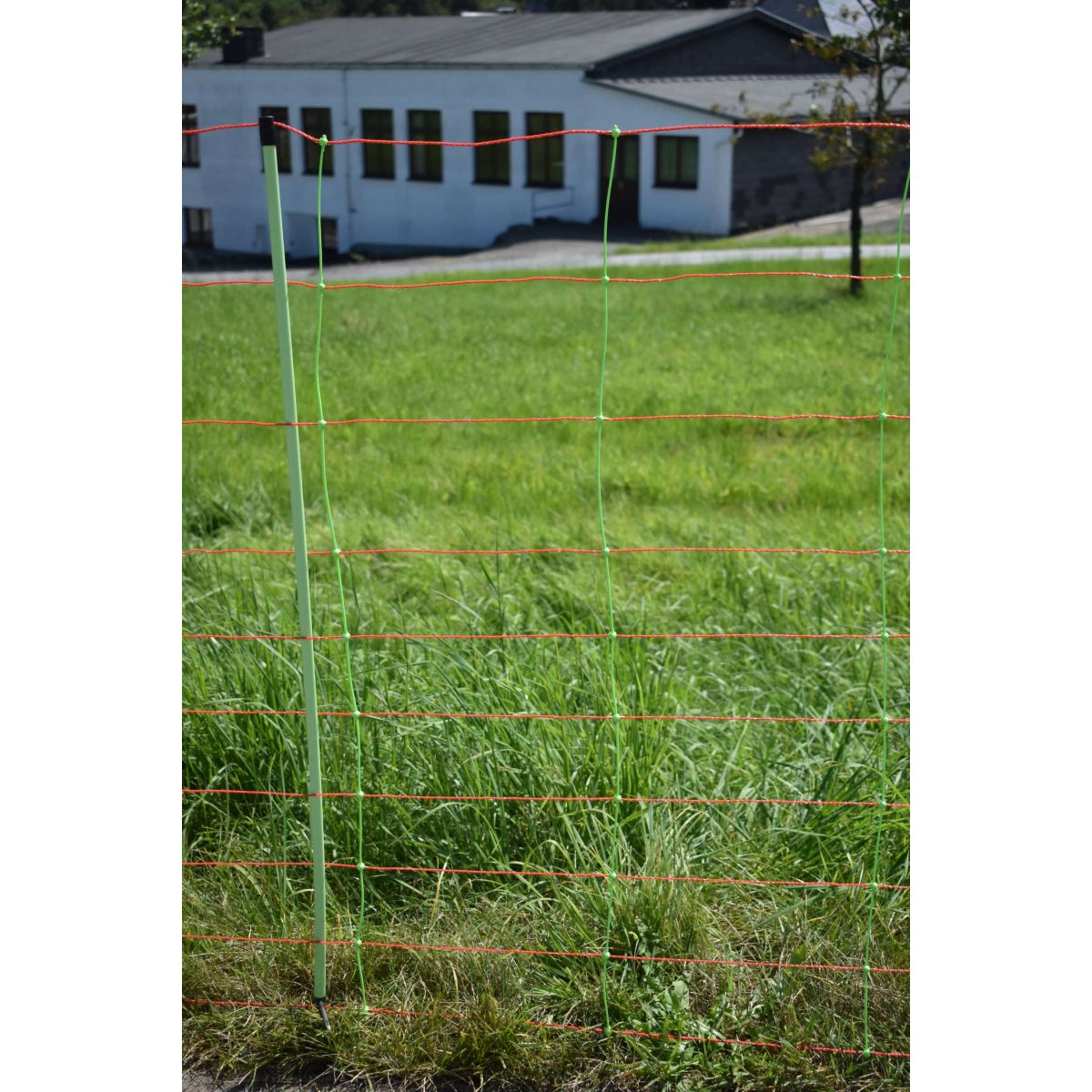 Euro-Netz Sheep Fencing Net Kombi