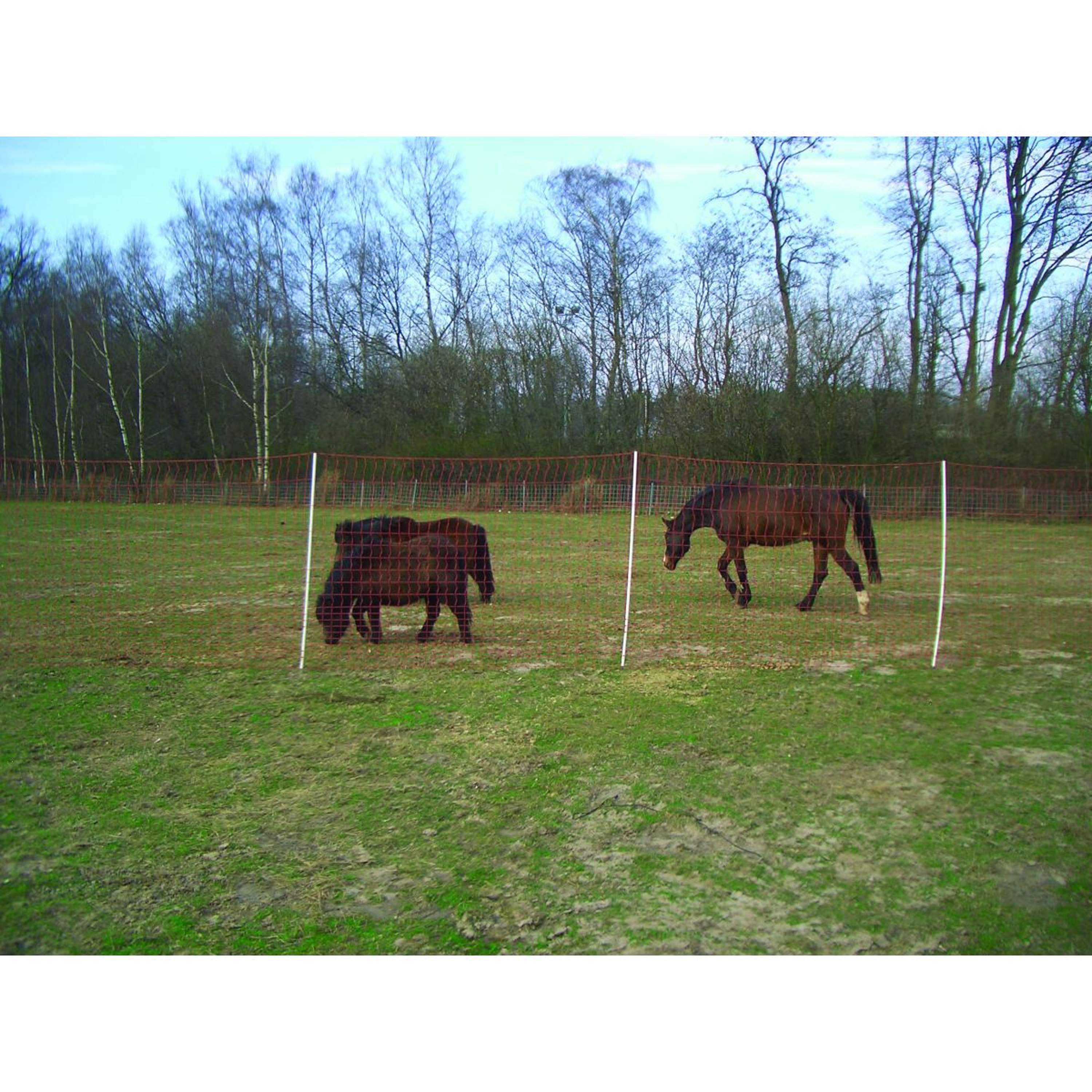 Euro-Netz Electric Fence Mustang