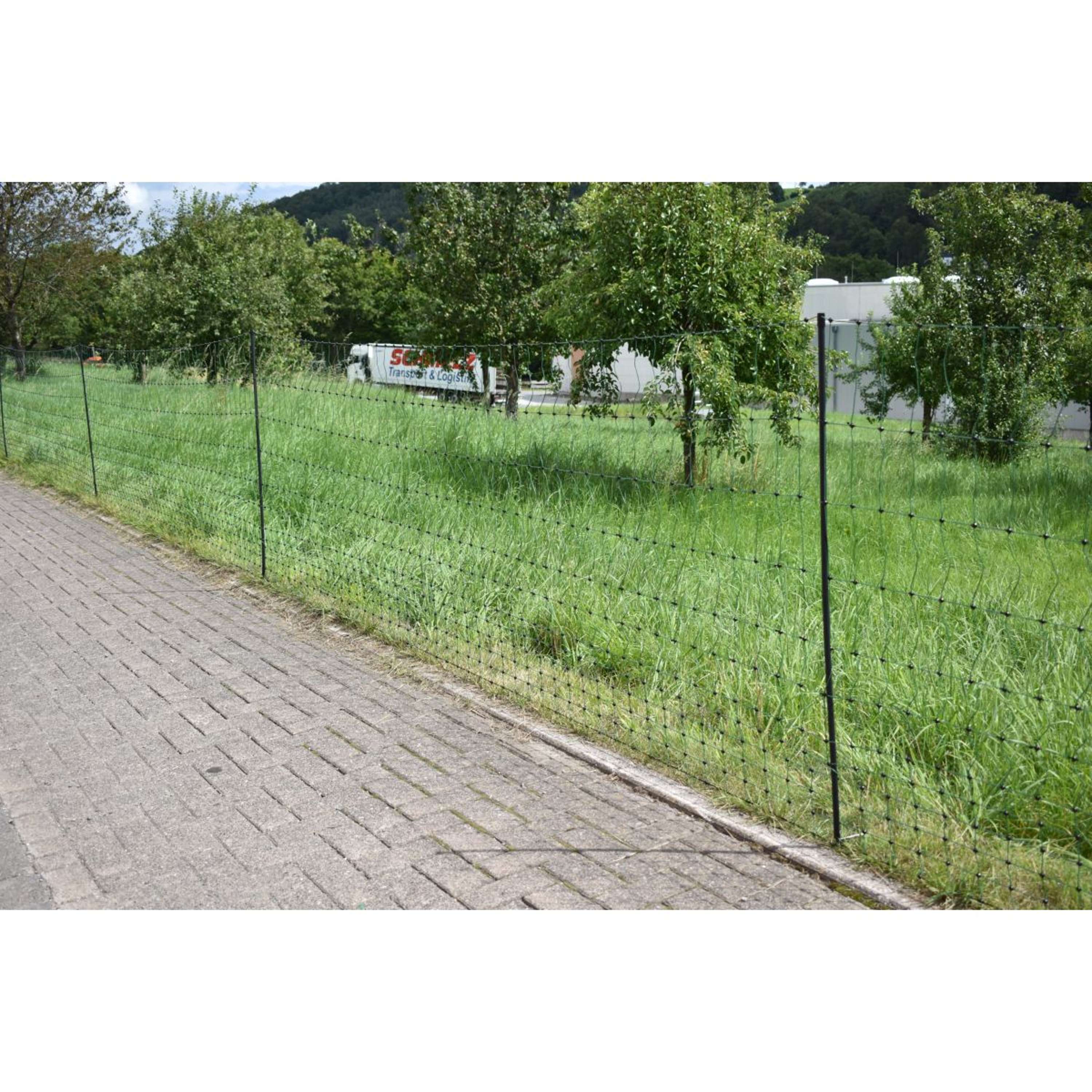 Euro-Netz Poultry Net Green