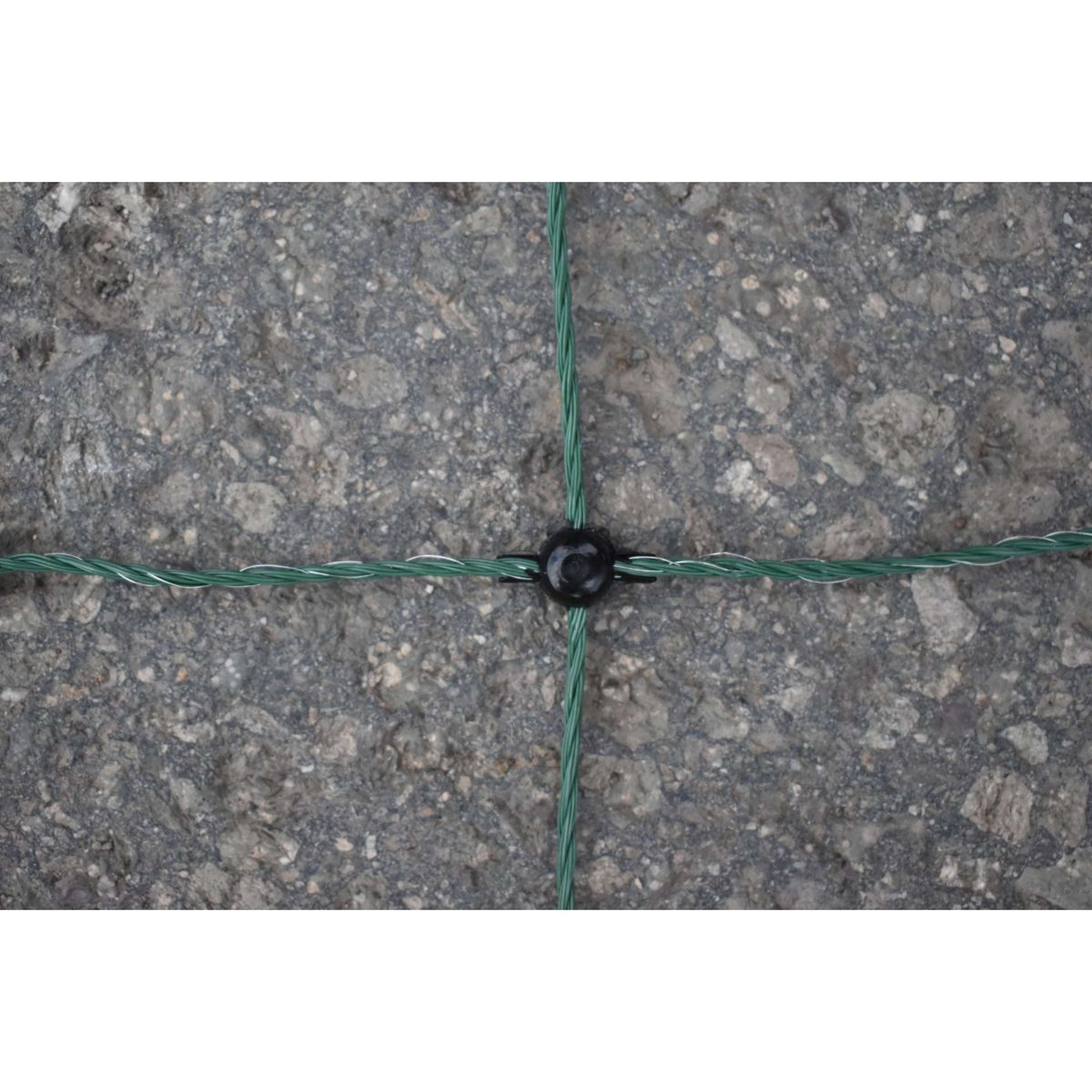 Euro-Netz Poultry Net Green