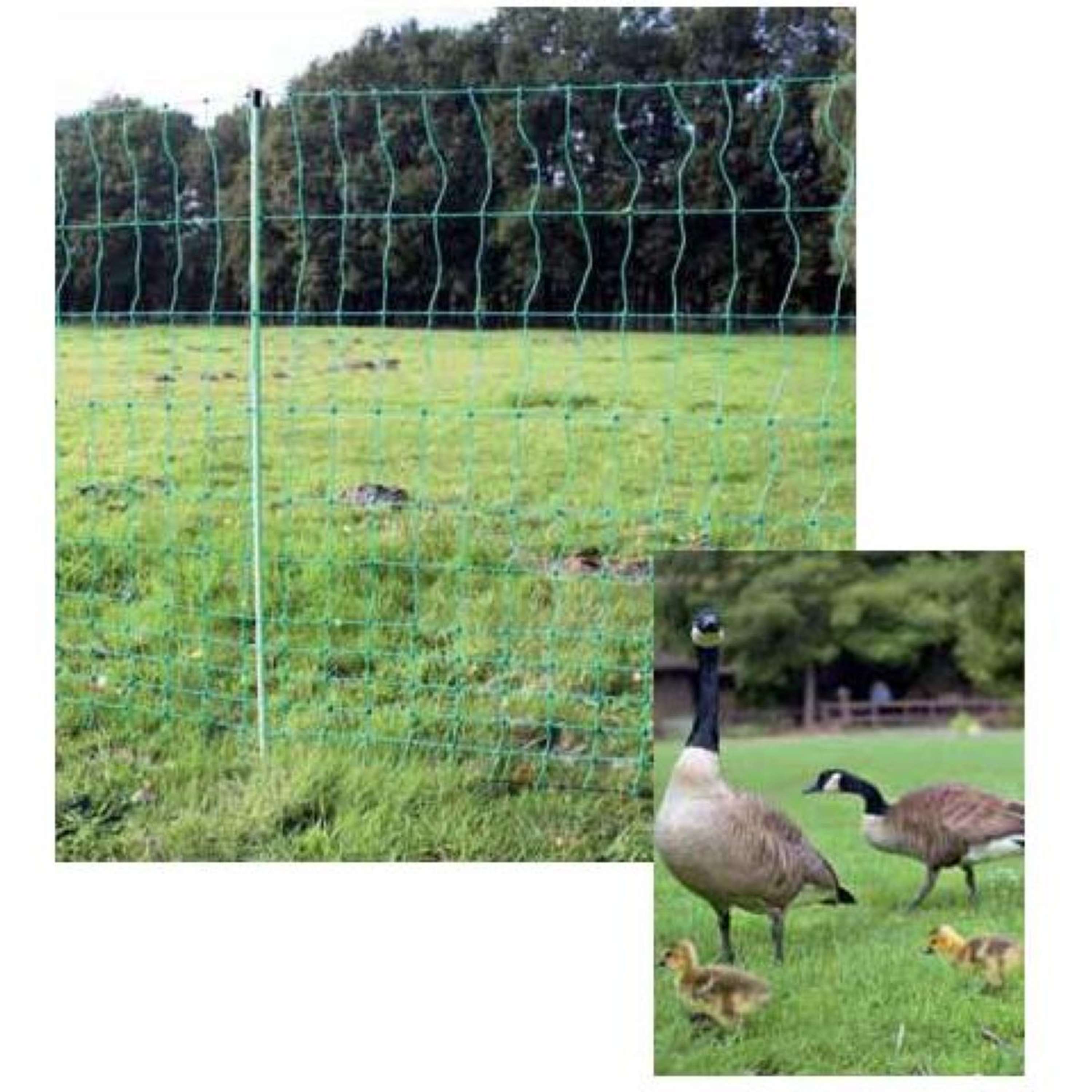 Euro-Netz Poultry Net Without Power Green