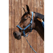 Harcour Head Collar Set Hansy Steel Blue