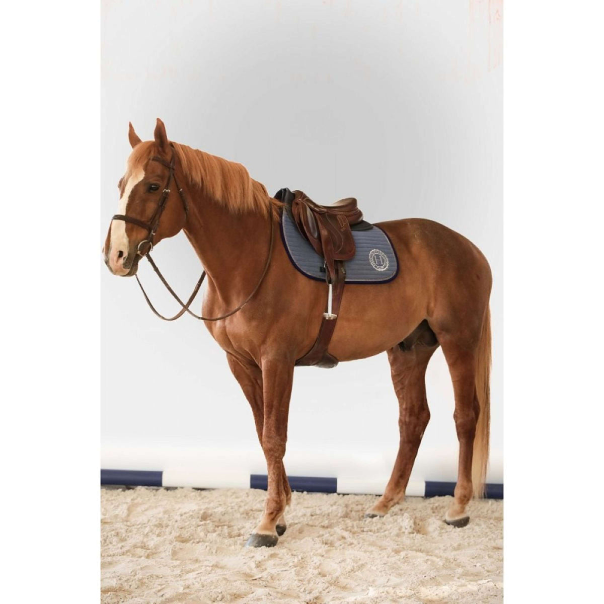 Harcour Saddlepad Karembar Dressage Iced Coffee